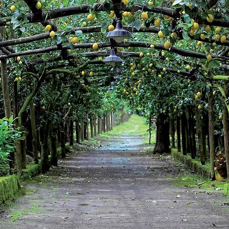 Willa Agriturismo Il Convento Massa Lubrense Zewnętrze zdjęcie